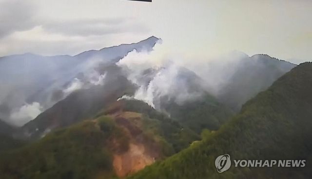 재발화한 삼척 산불