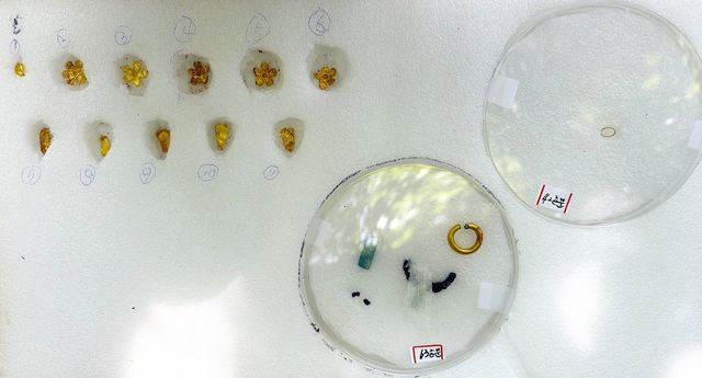 정읍 은선리·도계리 고분군서 출토된 금제 장신구