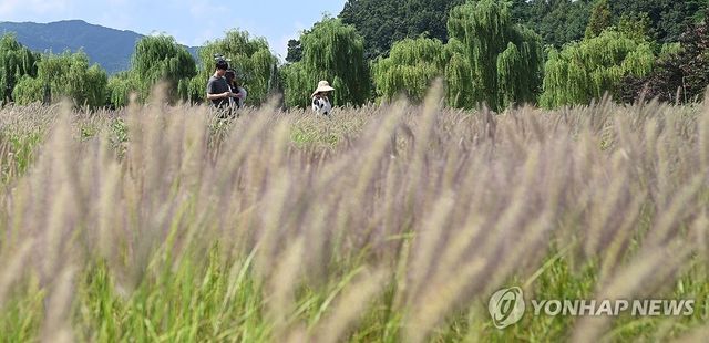 경남에 핀 수크령