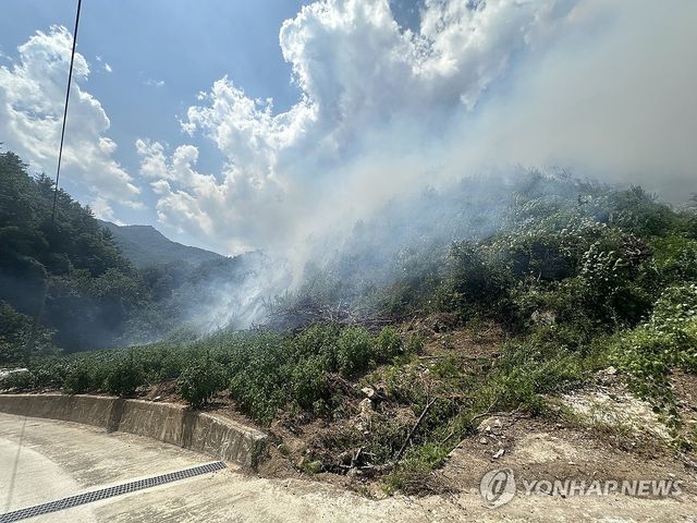 삼척 야산서 불…진화 중