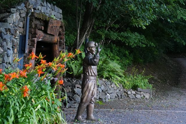 1177갱 입구의 원추리꽃 [사진/성연재 기자]