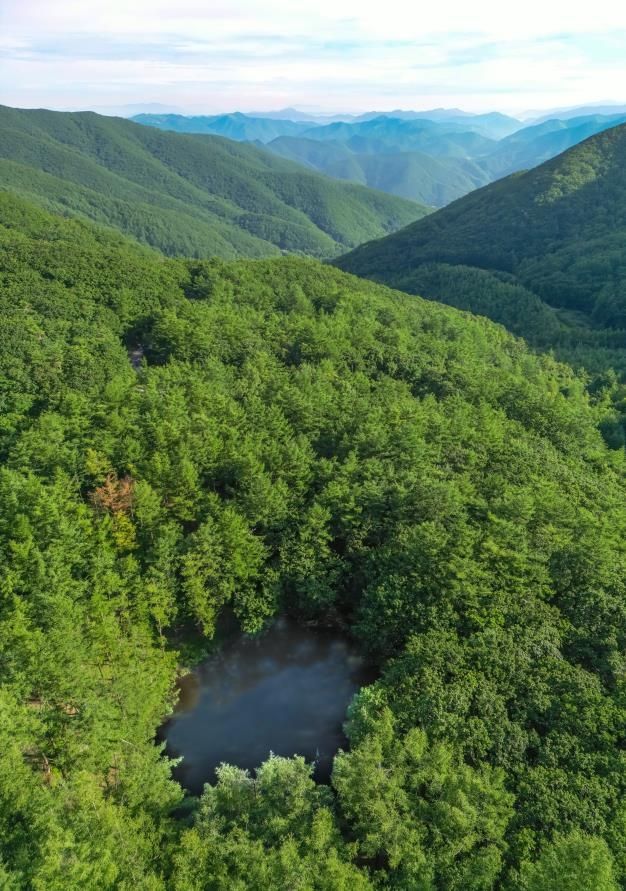 하늘에서 본 도롱이연못 [사진/성연재 기자]