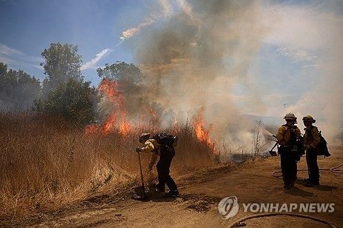 폭염으로 발생한 산불