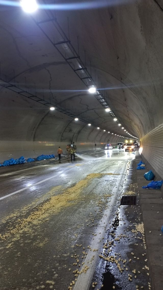 도로에 쏟아진 마늘