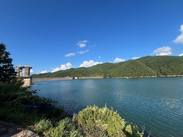 광주·전남 식수원 주암호 조류경보 발령