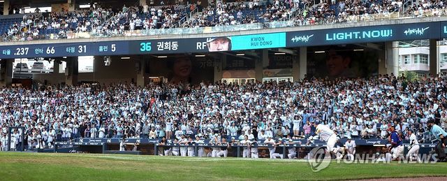 창원NC파크 채운 관중