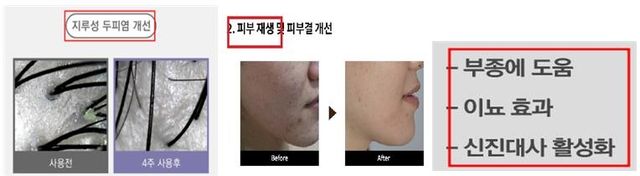 표시·광고 부당 광고 위반 사례