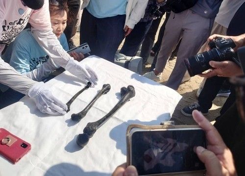 조세이 해저탄광에서 발견된 인골 