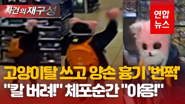 [영상] 양손에 흉기 고양이탈에 '극한 공포'…왜 그랬냐 묻자 "야옹" - 2