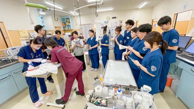 일본 현장 실습