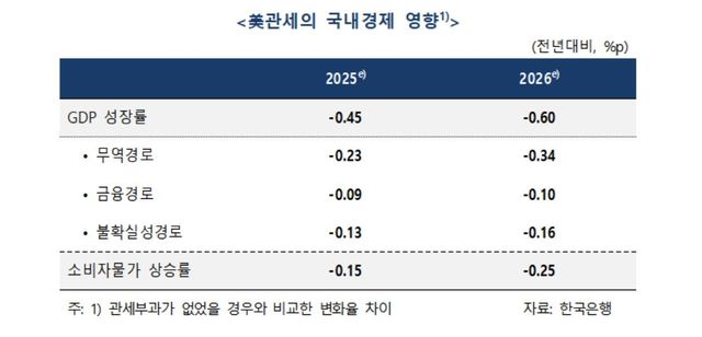 미국 관세의 국내 경제 영향