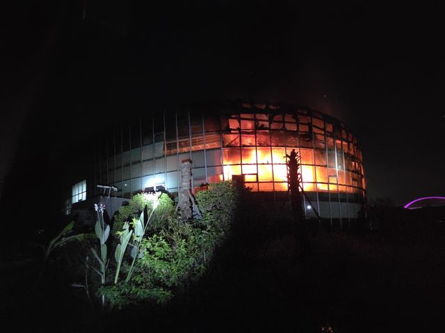 불이 난 경주 버드파크