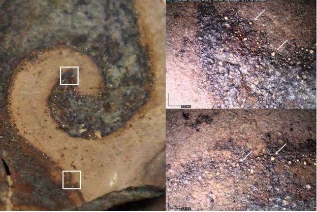 광배 조각의 화염문에 사용된 금니 세부 사진