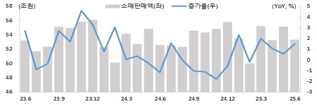 소매판매액 현황 및 증가율