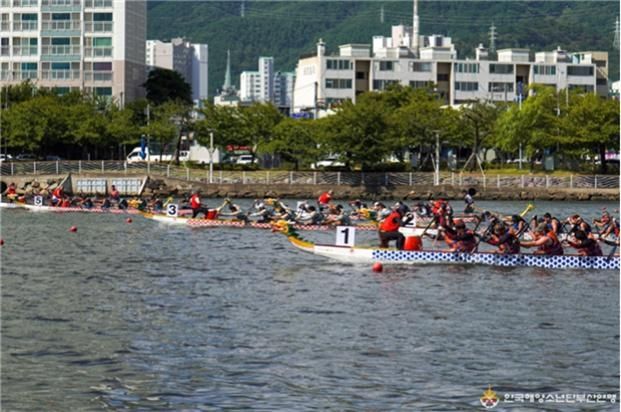 지난해 부산국제드래곤보트대회