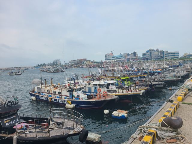 비응항에 접안 중인 어선들