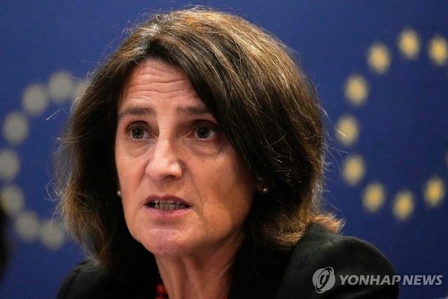 EU 수석 부집행위원장 