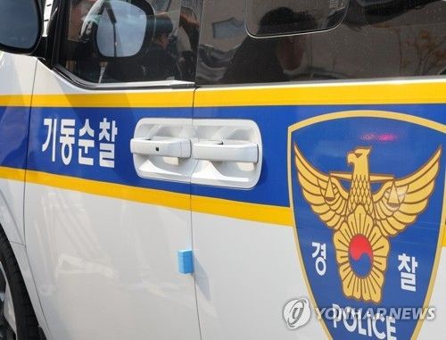 기동순찰대