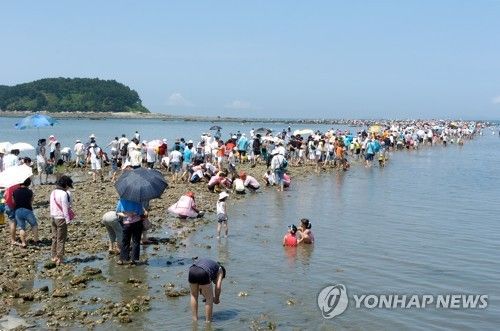 무창포 신비의 바닷길 축제