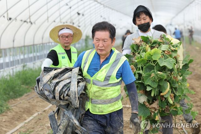 오이밭 수해복구하는 정청래 당대표