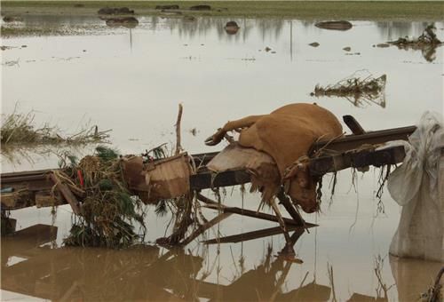 강릉 초토화한 태풍 루사 