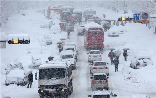 2014년 강릉 폭설