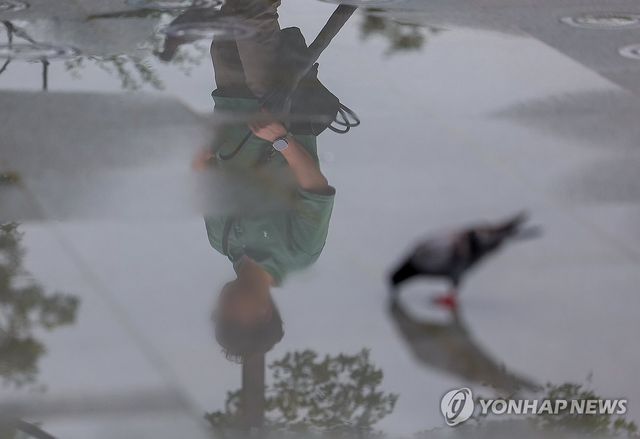 빗물이 비치는 출근길