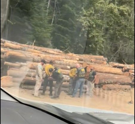 SNS 틱톡에 게시된 지난 27일 계약직 소방관 체포 당시 모습