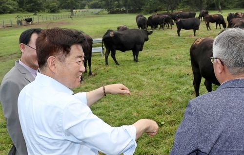 제주흑우 방목지 찾은 오영훈 도지사