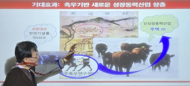 제주흑우 산업화 과정 설명하는 박세필 교수