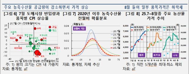 7월 호우·폭염의 물가 영향