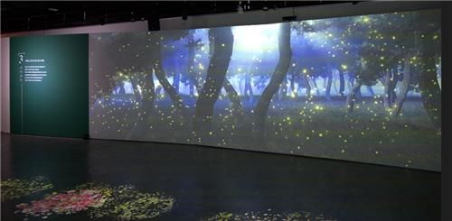 미디어아트로 즐기는 '안동, 이 아름다운 동쪽'