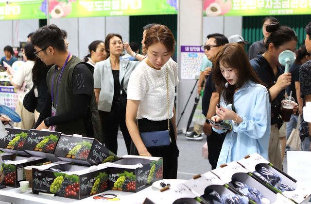 옥천 포도·복숭아 축제