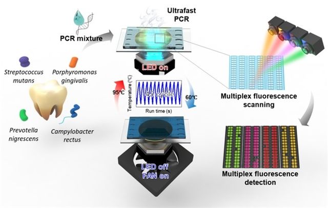 플라즈모닉 광열 기반 디지털 PCR 기술 개요 