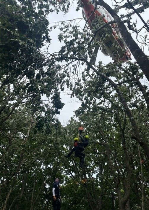 석병산 등산객 구조