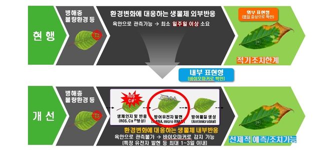 AI 기반 불량환경 예측시스템 구조도