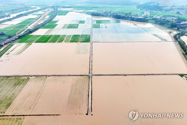물폭탄 맞은 함평군 농경지