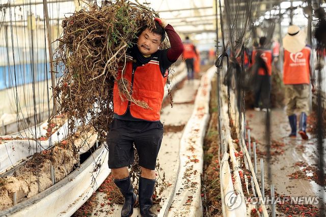 '일상회복을 위한 구슬땀'…수해 현장 복구작업