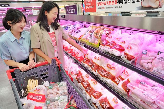 롯데마트, 말복 맞아 보양식 할인전