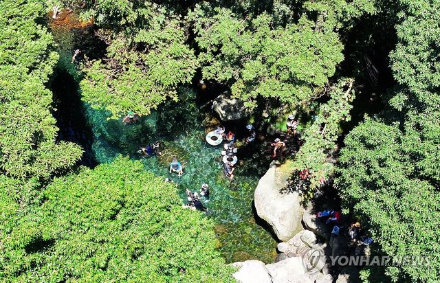 돈내코 계곡의 여름