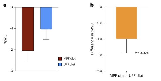 최소가공식품(MPF) 및 초가공식품(UPF) 그룹의 체중 감량 차이 