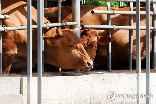 '한 방울이라도'