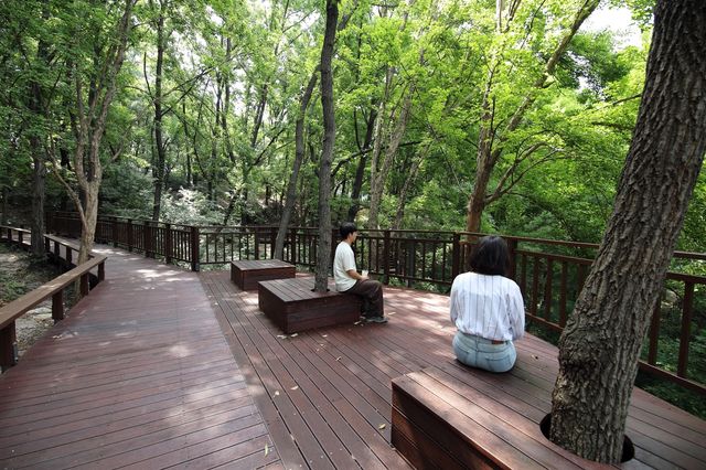 개운산 무장애숲길을 찾은 시민 