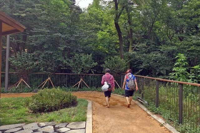 개운산 맨발황톳길