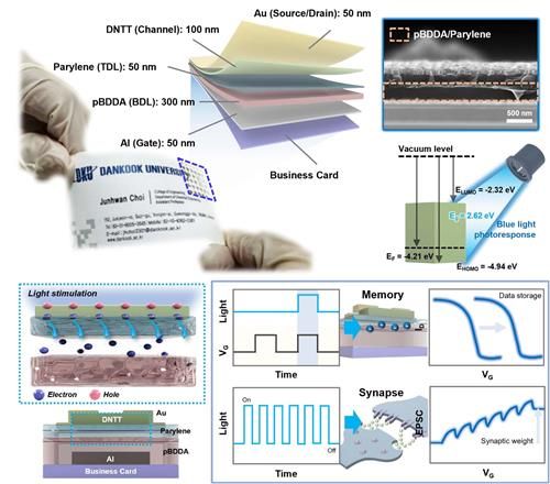종이 명함에 제작된 차세대 AI 반도체의 정보 저장 및 인공 시냅스 기능