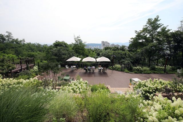 개운산 여름향기정원