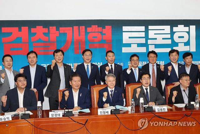 민주당 검찰개혁 토론회