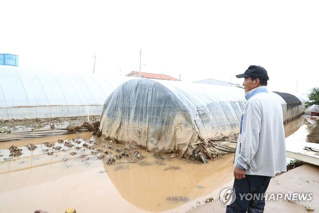 물에 잠긴 농경지