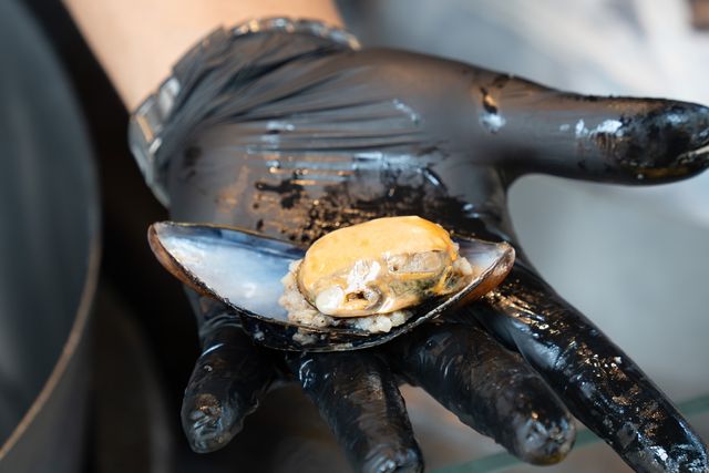 튀르키예식 '홍합밥'인 미디예 돌마 [사진/성연재 기자] 