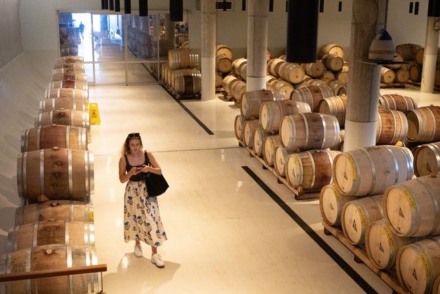 마흐젠 레스토랑의 와인창고 [사진/성연재 기자] 